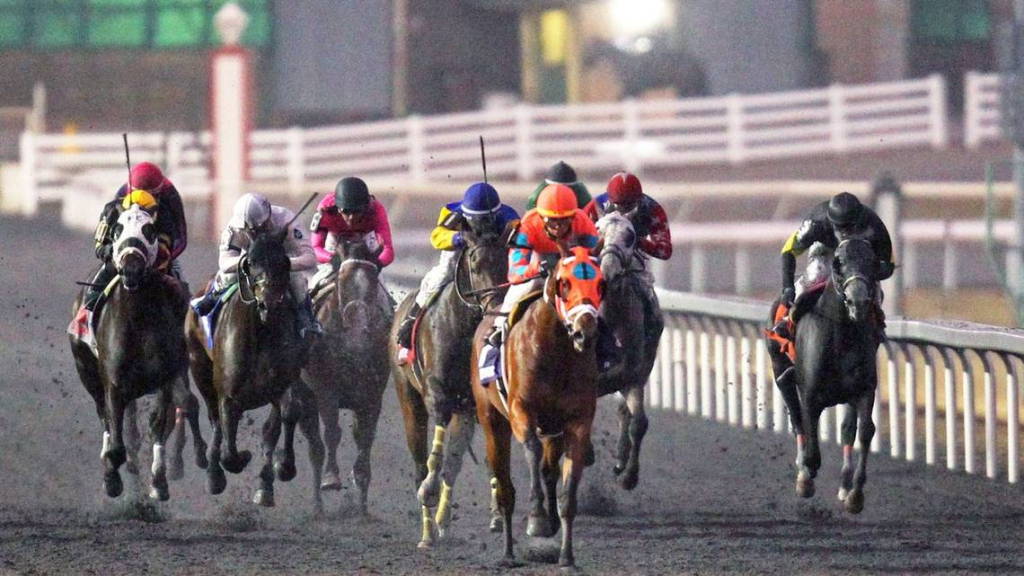 Turfway Park Horse Racing